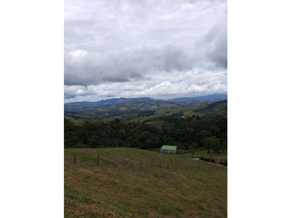 VENDO TERRENO EN CONDOMINIO CALIMA - DARIEN - 6
