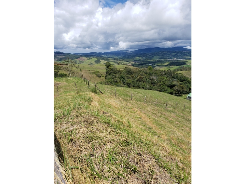 VENDO TERRENO EN CONDOMINIO CALIMA - DARIEN - 2