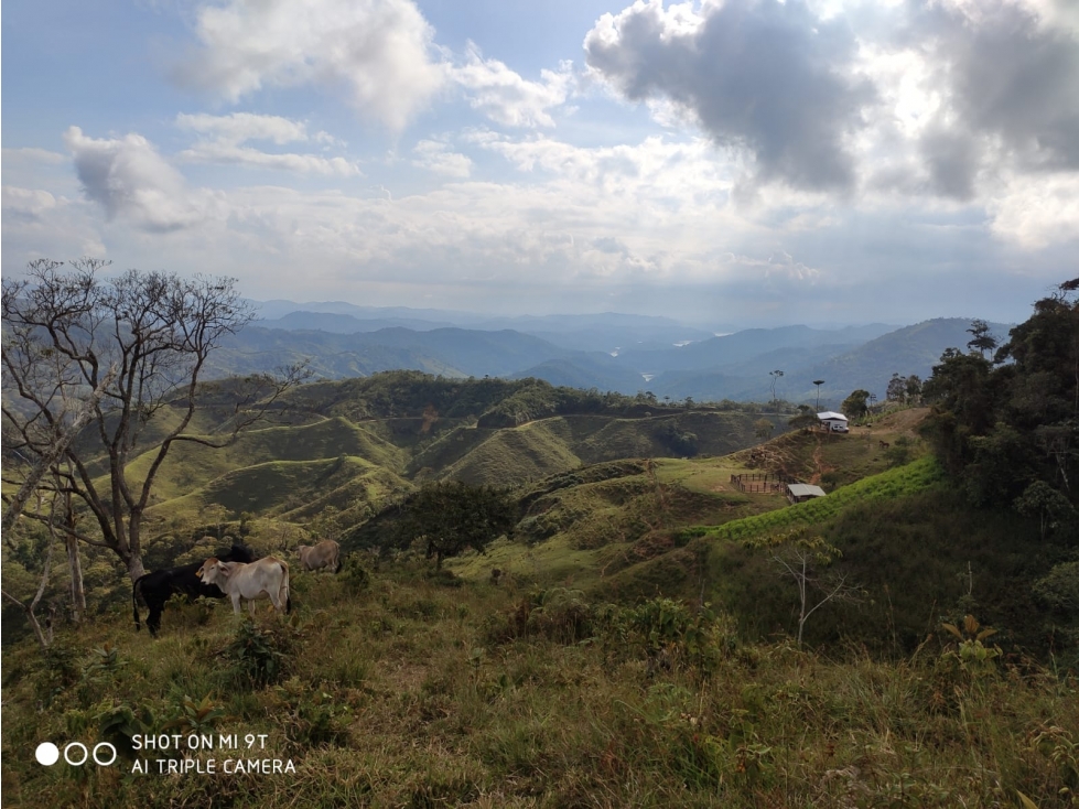vendo finca de 13'4128ha entre la via San Rafael y Alejandría