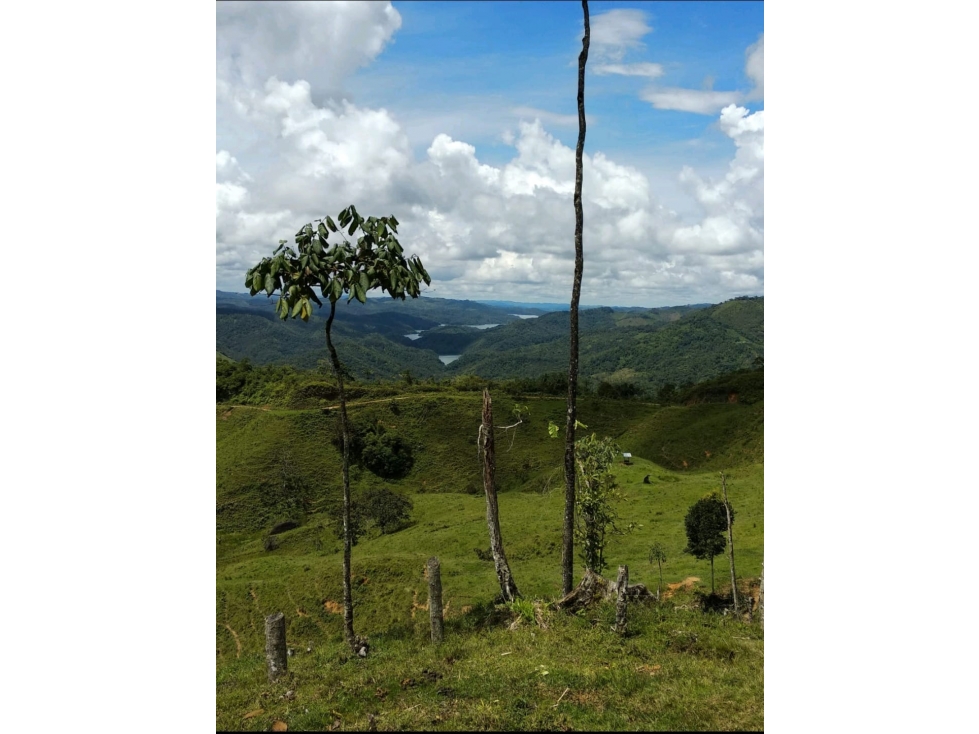 vendo finca de 13'4128ha entre la via San Rafael y Alejandría — foto 2