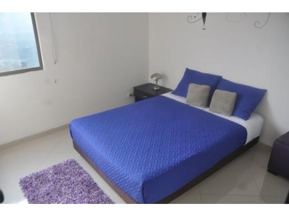 Vendo apartamento en unidad en La Loma del Indio — foto 6