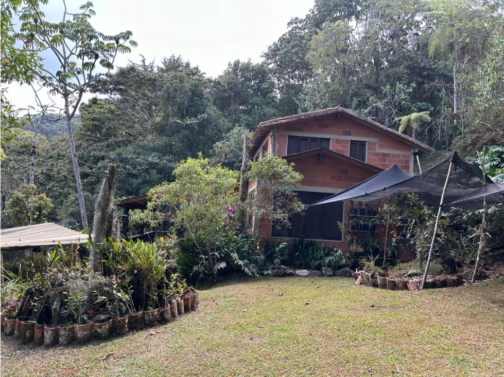 Finca campestre en venta: 12.000 m² de naturaleza en El Retiro - 1