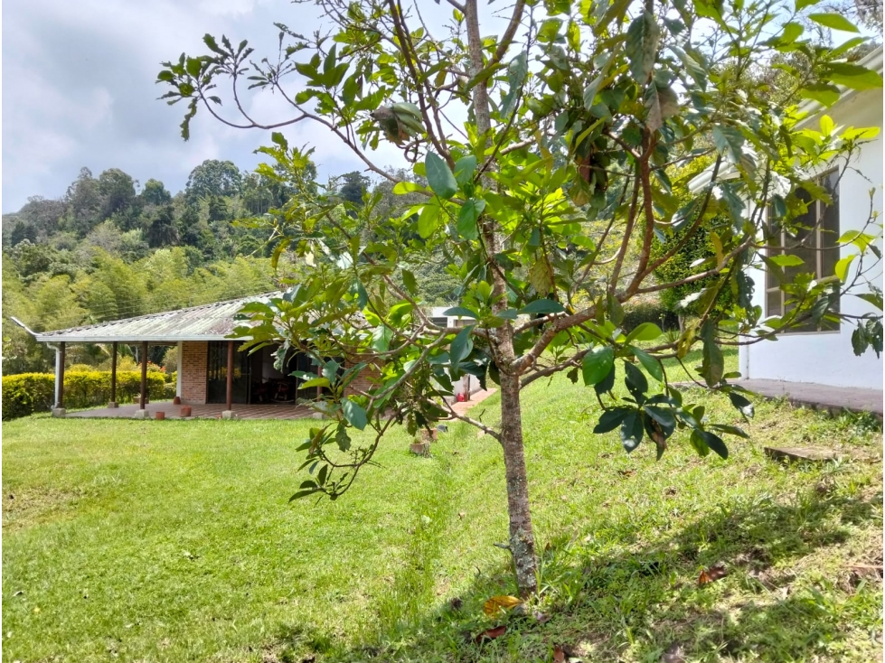 VENTA FINCA DE DESCANSO - PACHO CUNDINAMARCA - 4