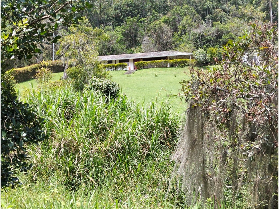 VENTA FINCA DE DESCANSO - PACHO CUNDINAMARCA - 2