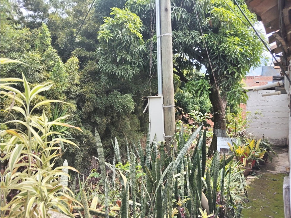 M.O.R. Vende casa lote de 1794 m2 de lote en BELLO. — foto 6