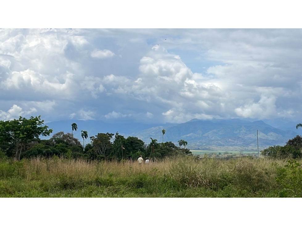 LOTE EN CERRITOS LA CARMELITA
