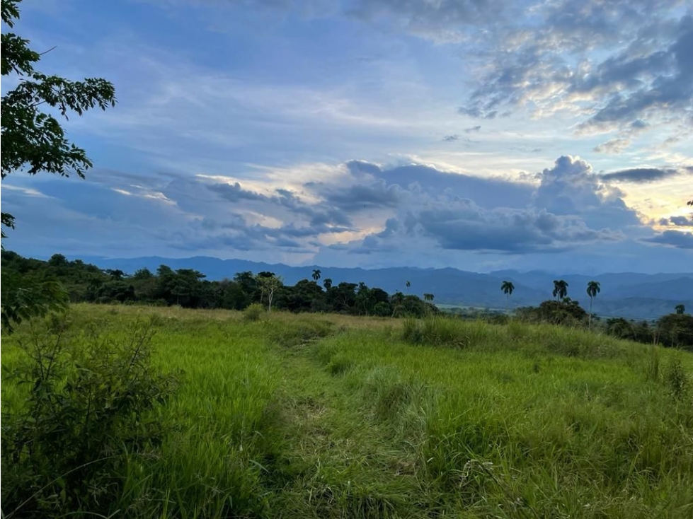 LOTE EN CERRITOS LA CARMELITA — foto 2