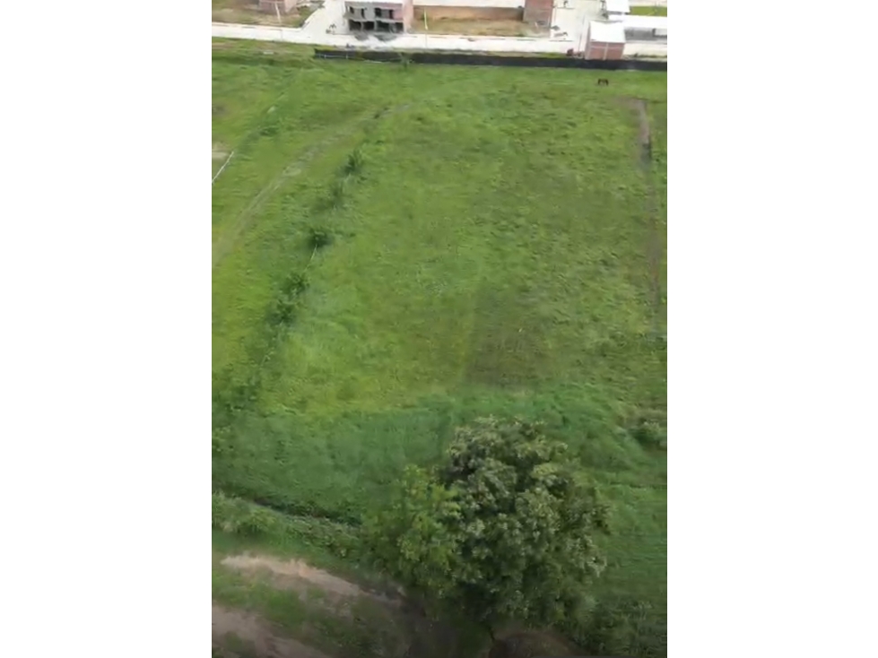 LOTE VITERBO — foto 3
