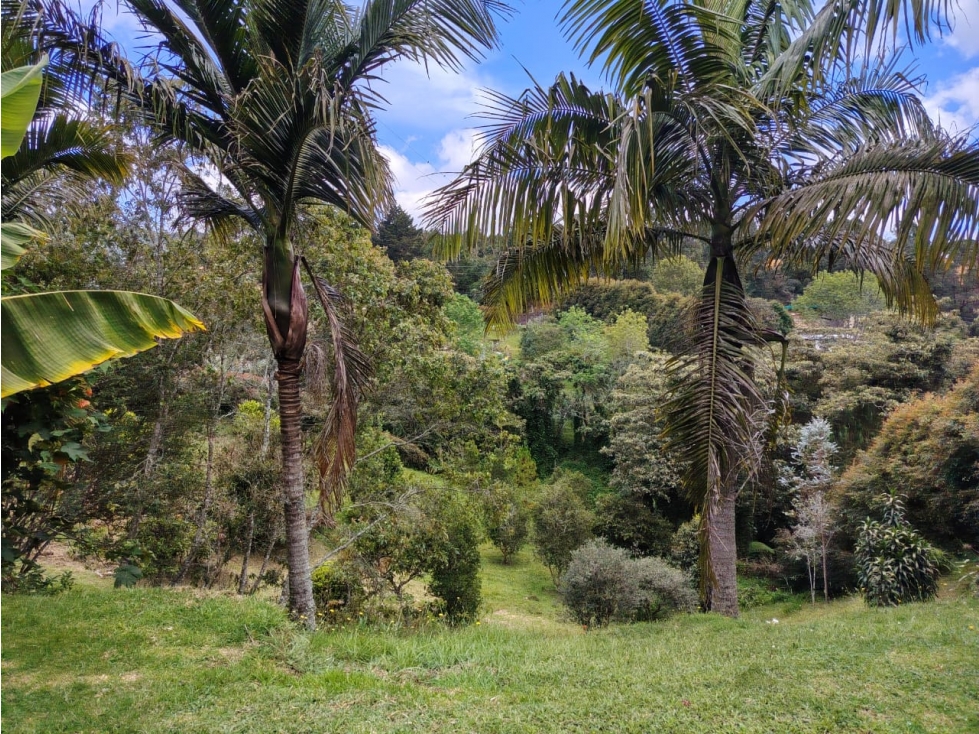 Casa Finca en el Escobero — foto 4
