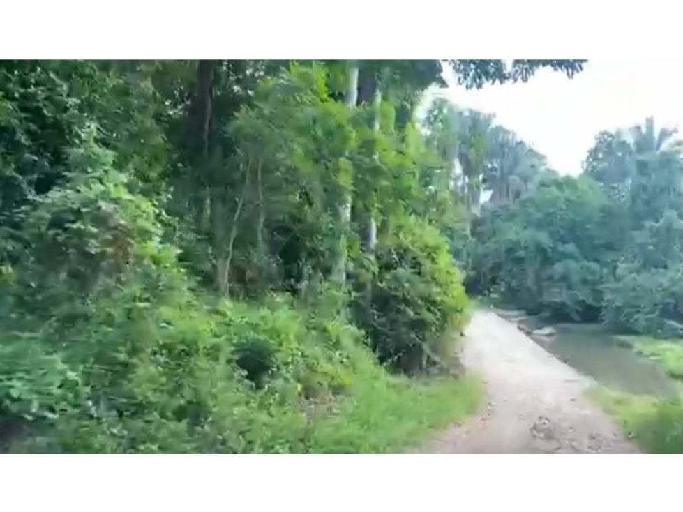 LOTE EN VENTA EN NILO CUNDINAMARCA - 1