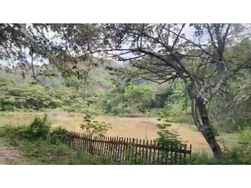 LOTE EN VENTA EN NILO CUNDINAMARCA - 4