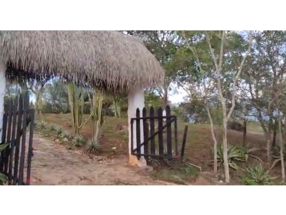 LOTE EN VENTA EN NILO CUNDINAMARCA - 5