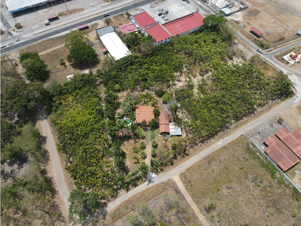 Se Vende Casa con plantación en Nueva Gorgona, Chame — foto 3