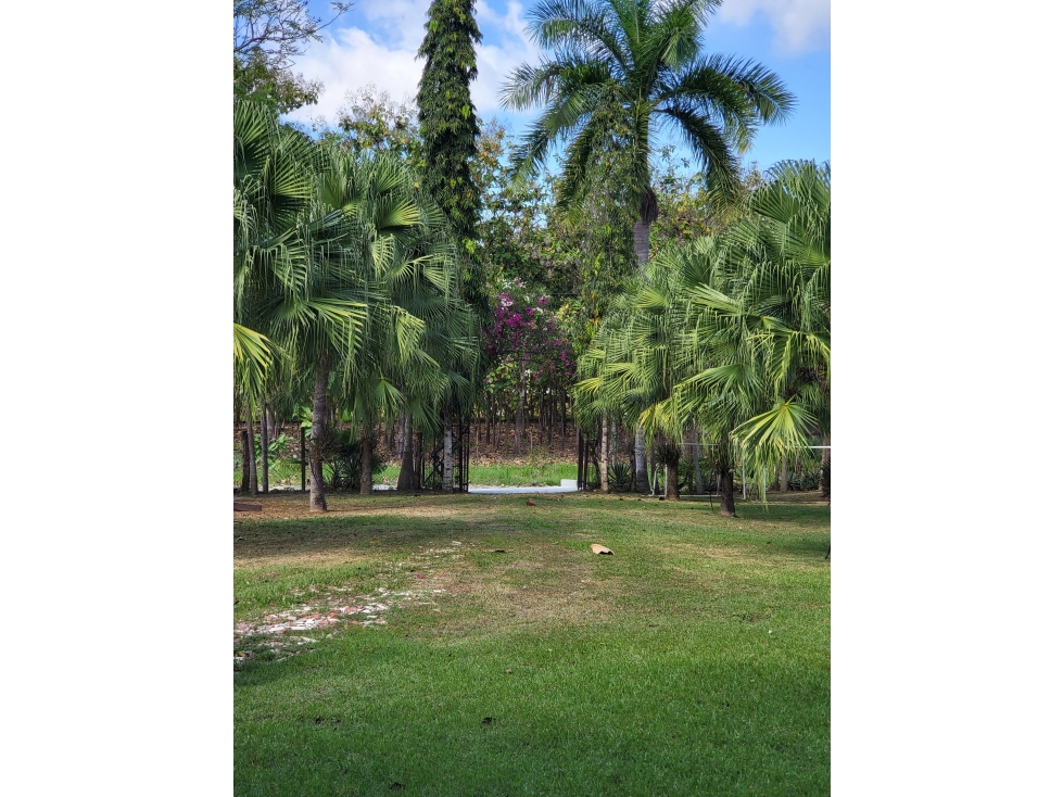 Se Vende Casa con plantación en Nueva Gorgona, Chame — foto 4