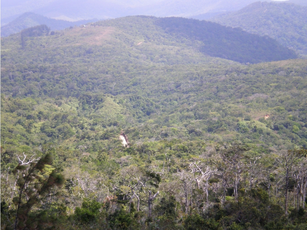 VENDO TERRENO EN CERRO AZUL 55 HECTAREAS — foto 3