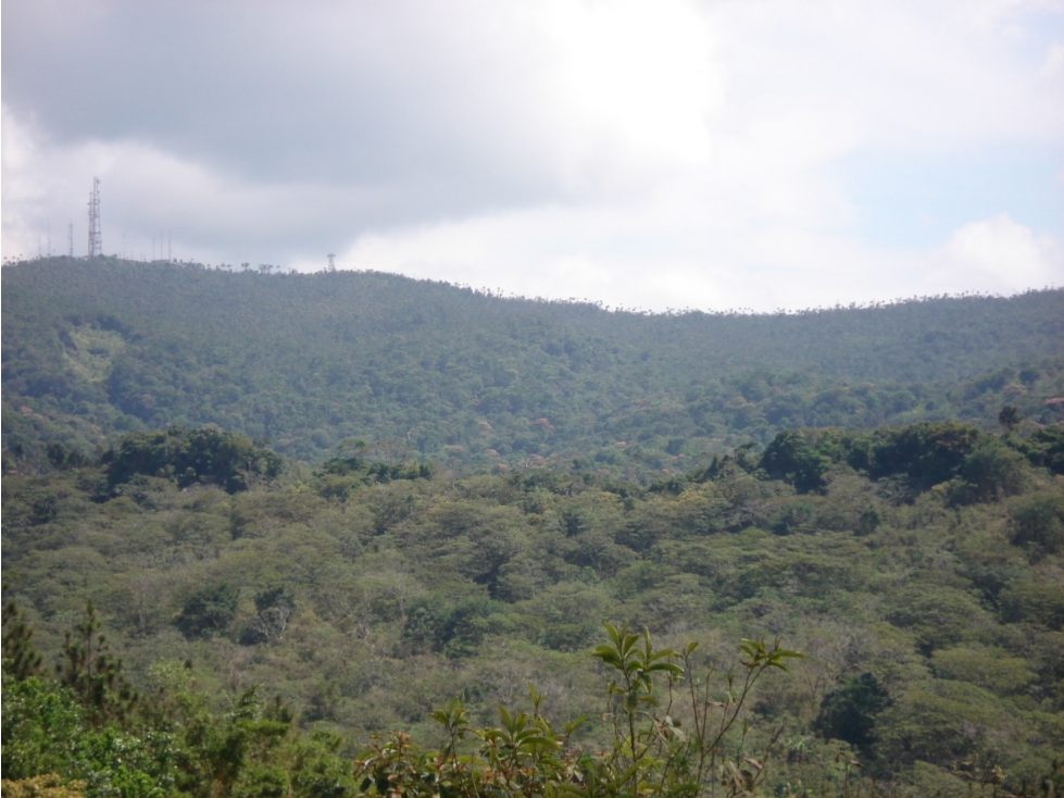 VENDO TERRENO EN CERRO AZUL 55 HECTAREAS — foto 6