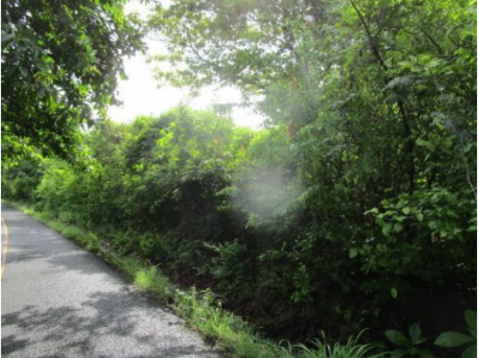 Terreno en Venta en Pedasi - 5