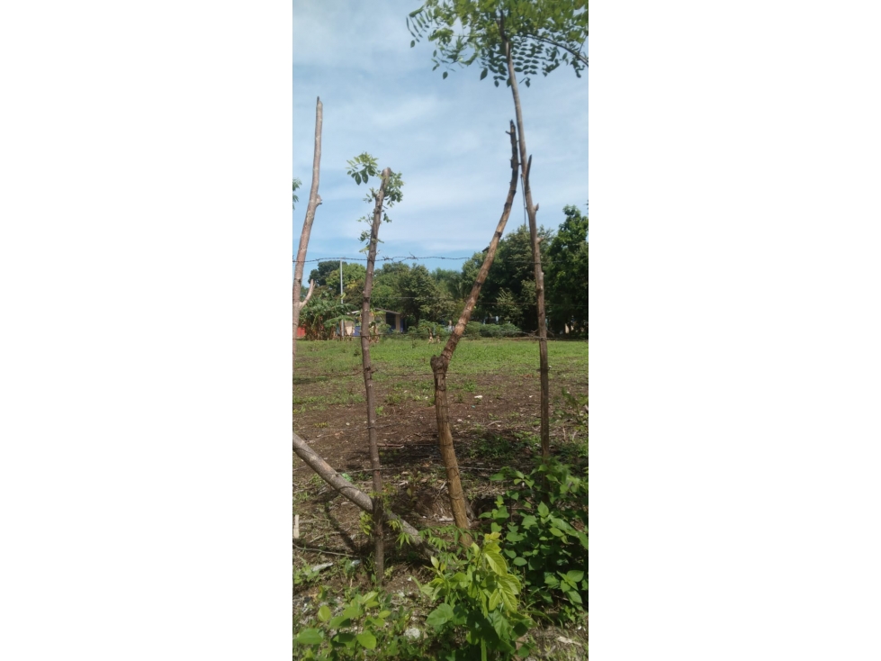 Venta de terreno en Río Hato, Coclé - 3