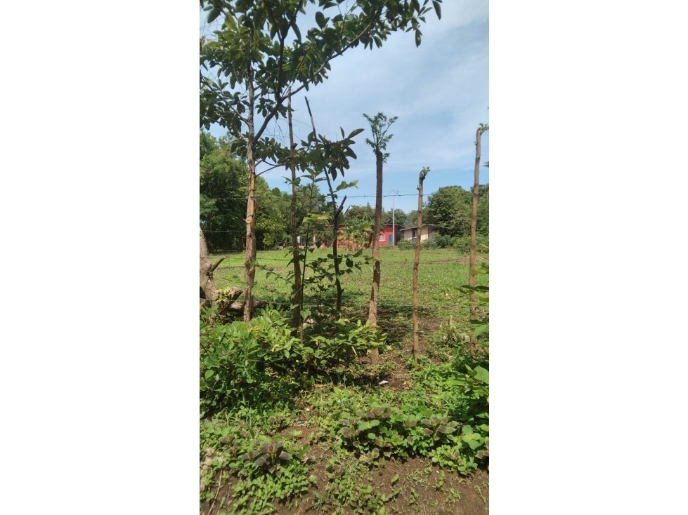 Venta de terreno en Río Hato, Coclé - 4