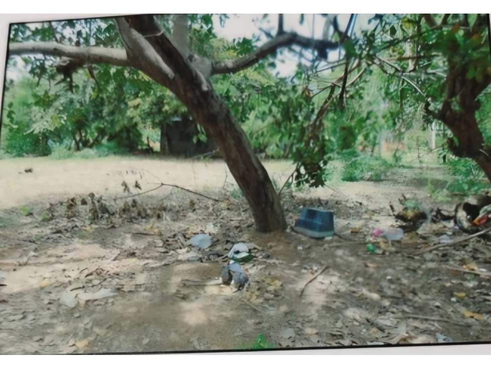 Venta de terreno en Río Hato, Coclé - 6