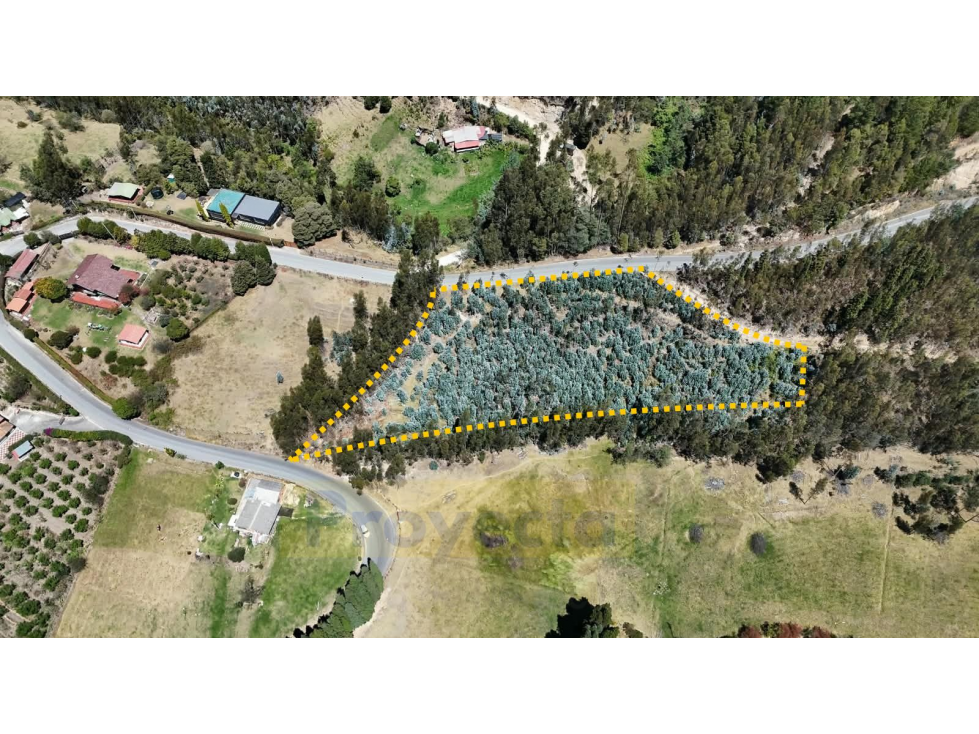 TERRENO EN VENTA - VEREDA EL ROSAL - PAIPA, BOYACÁ - 2