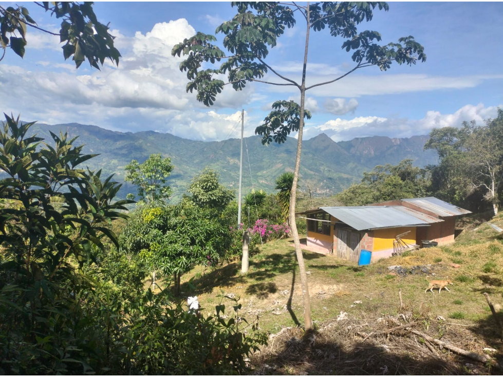 CASA-FINCA EN VENTA-CHAGUANI CUNDINAMARCA - 2