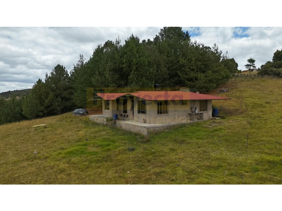 FINCA EN VENTA - VEREDA LEONERA - TUTA BOYACÁ - 2