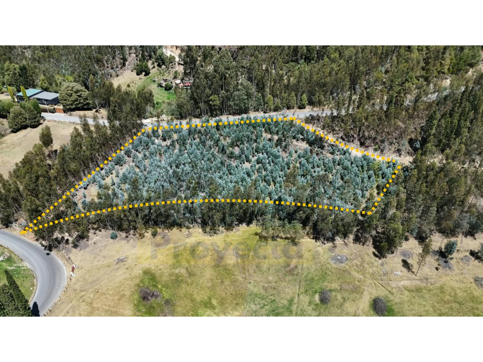 TERRENO EN VENTA - VEREDA EL ROSAL - PAIPA, BOYACÁ - 3