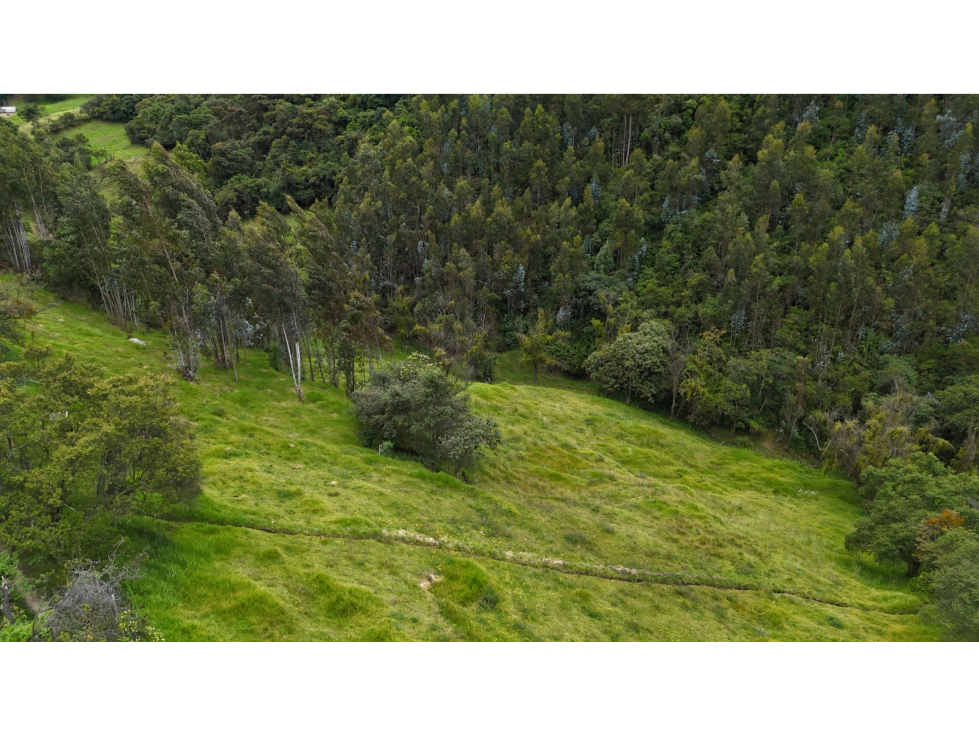 LOTE EN VENTA - VEREDA SATIVA - PAIPA, BOYACÁ — foto 3