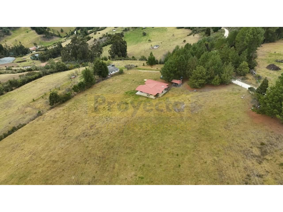 FINCA EN VENTA - VEREDA LEONERA - TUTA BOYACÁ - 3