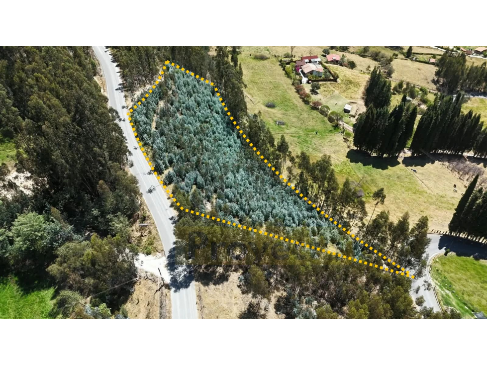 TERRENO EN VENTA - VEREDA EL ROSAL - PAIPA, BOYACÁ - 4