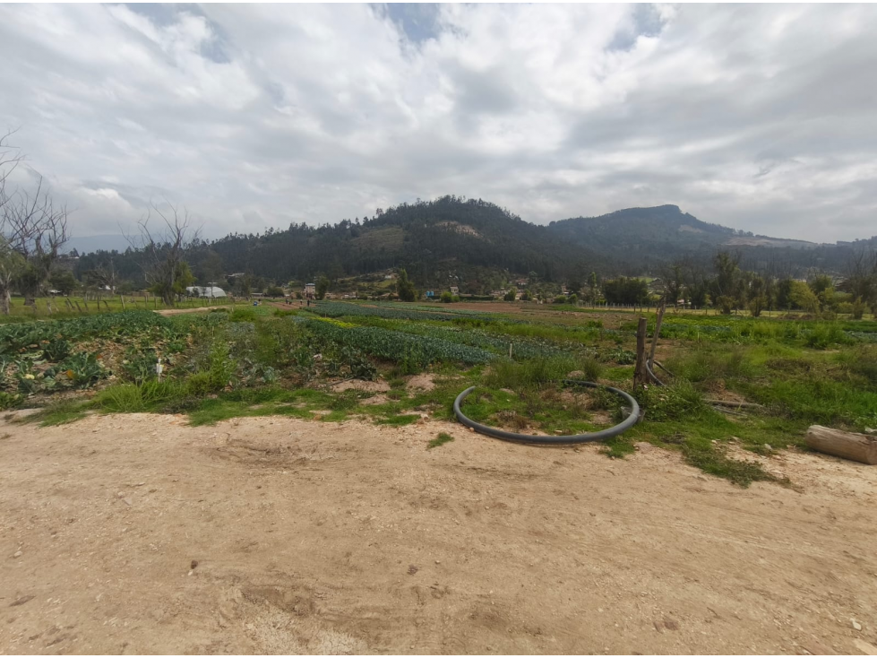 LOTE EN VENTA VEREDA TOCOGUA - DUITAMA - 4