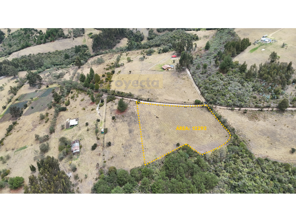 LOTE EN VENTA - VEREDA VENTA DEL LLANO - PAIPA, BOYACÁ - 1