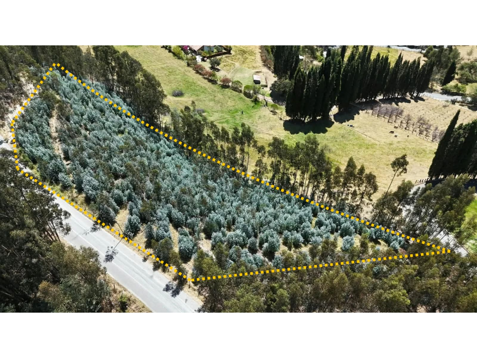 TERRENO EN VENTA - VEREDA EL ROSAL - PAIPA, BOYACÁ - 5