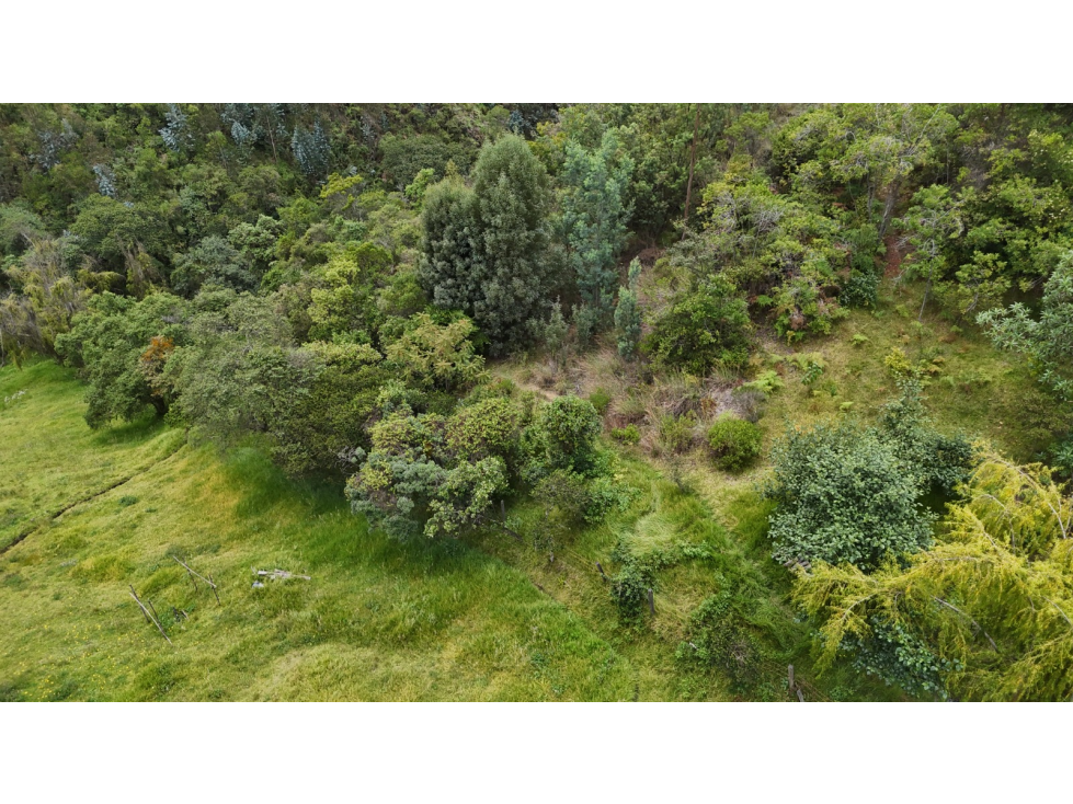 LOTE EN VENTA - VEREDA SATIVA - PAIPA, BOYACÁ — foto 5