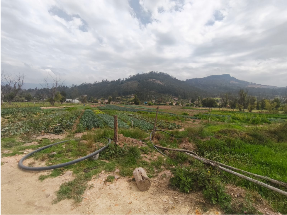 LOTE EN VENTA VEREDA TOCOGUA - DUITAMA - 5