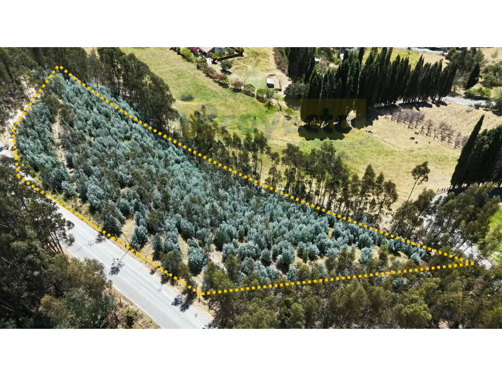 TERRENO EN VENTA - VEREDA EL ROSAL - PAIPA, BOYACÁ - 6