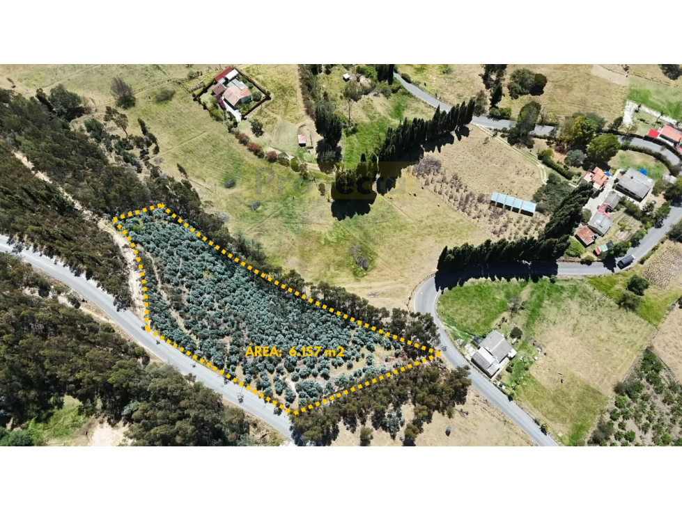 TERRENO EN VENTA - VEREDA EL ROSAL - PAIPA, BOYACÁ - 1