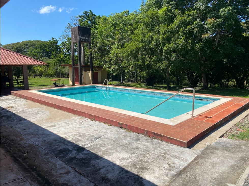 Finca en Venta 1,119 Hectáreas Cerca de Soná, Veraguas, Panamá - 2