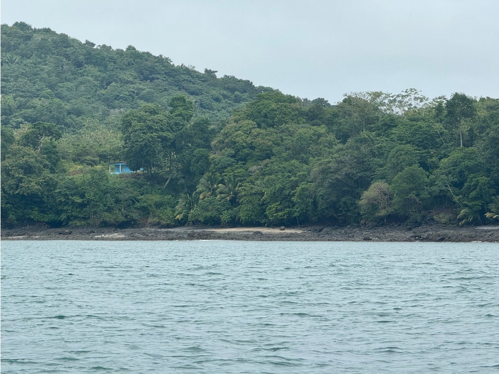 Se Venden 100 Hectáreas en Isla Gobernadora, Veraguas, Panamá - 1