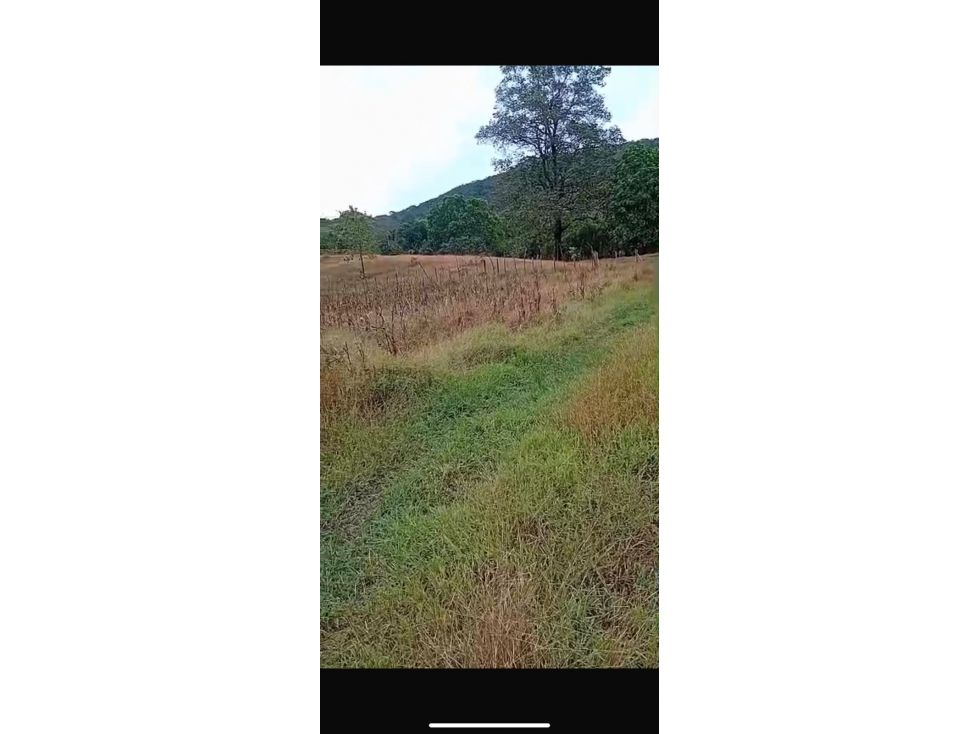 Terreno de 1 Hectárea Cerca de Playa Morrillo - 2