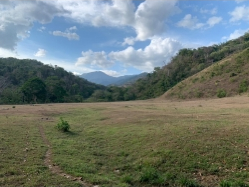 Se Vende 347 Hectareas Frente a Playa en Cerro Hoya, Panama - 3