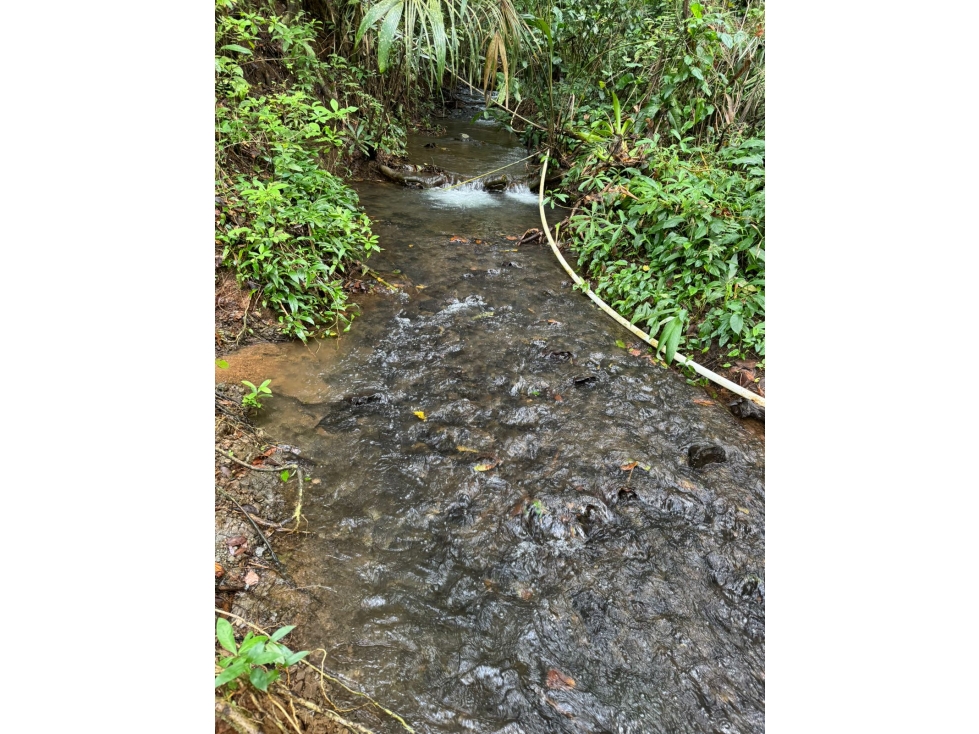 Se Venden 100 Hectáreas en Isla Gobernadora, Veraguas, Panamá - 4