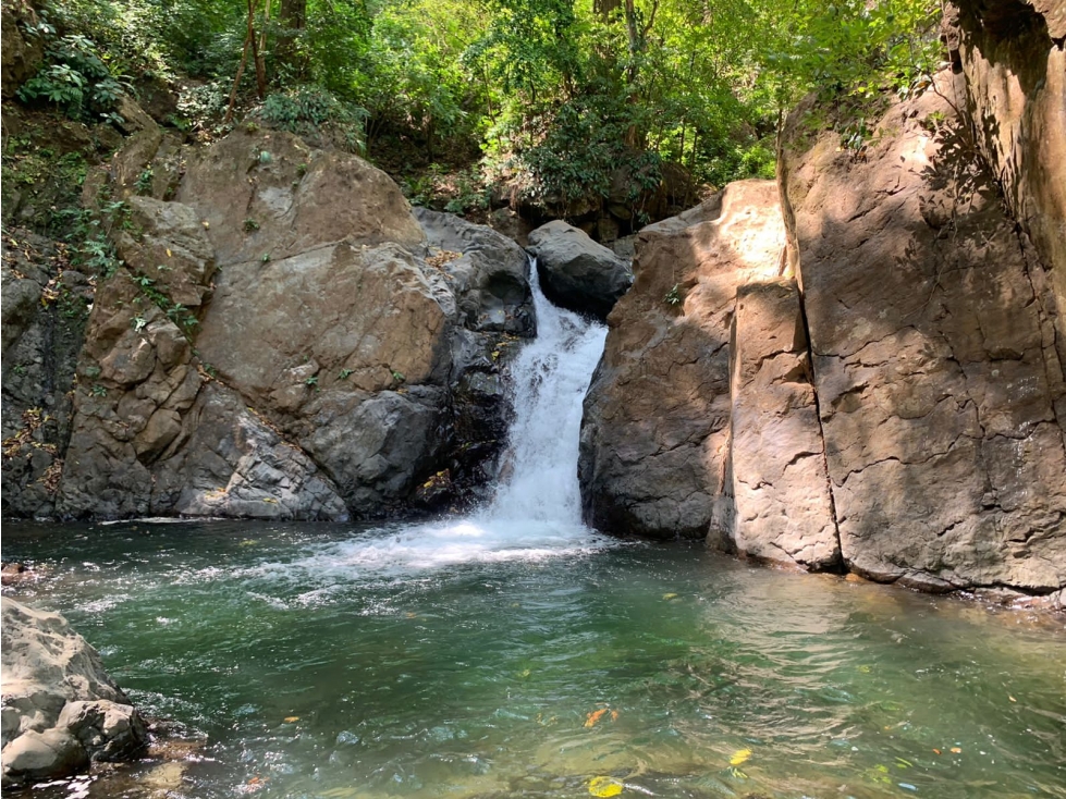 Finca en Venta 282 Hectáreas Colindantes con Cerro Hoya, Veraguas - 1