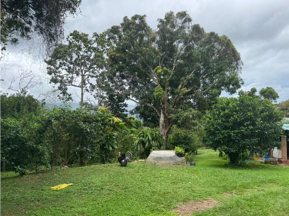 Casa en Venta en el Centro de Santa Fe, Veraguas 1,899.55 m² - 1