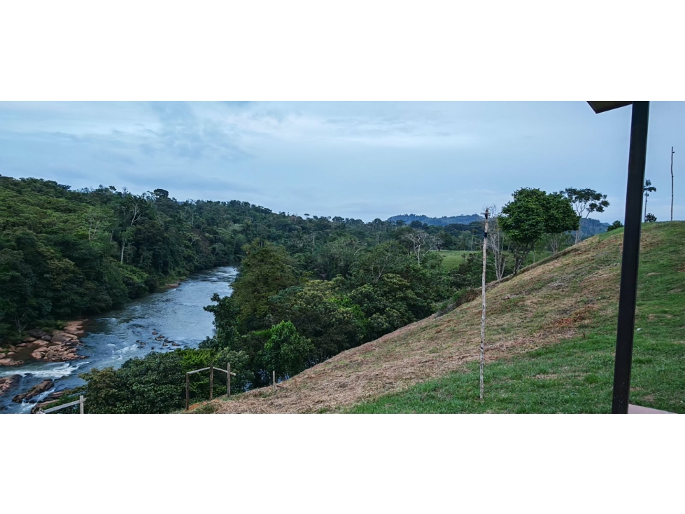 FINCA DE 100 HECTÁREAS EN VENTA EN PASO REAL, PENONOMÉ, PANAMÁ — foto 2