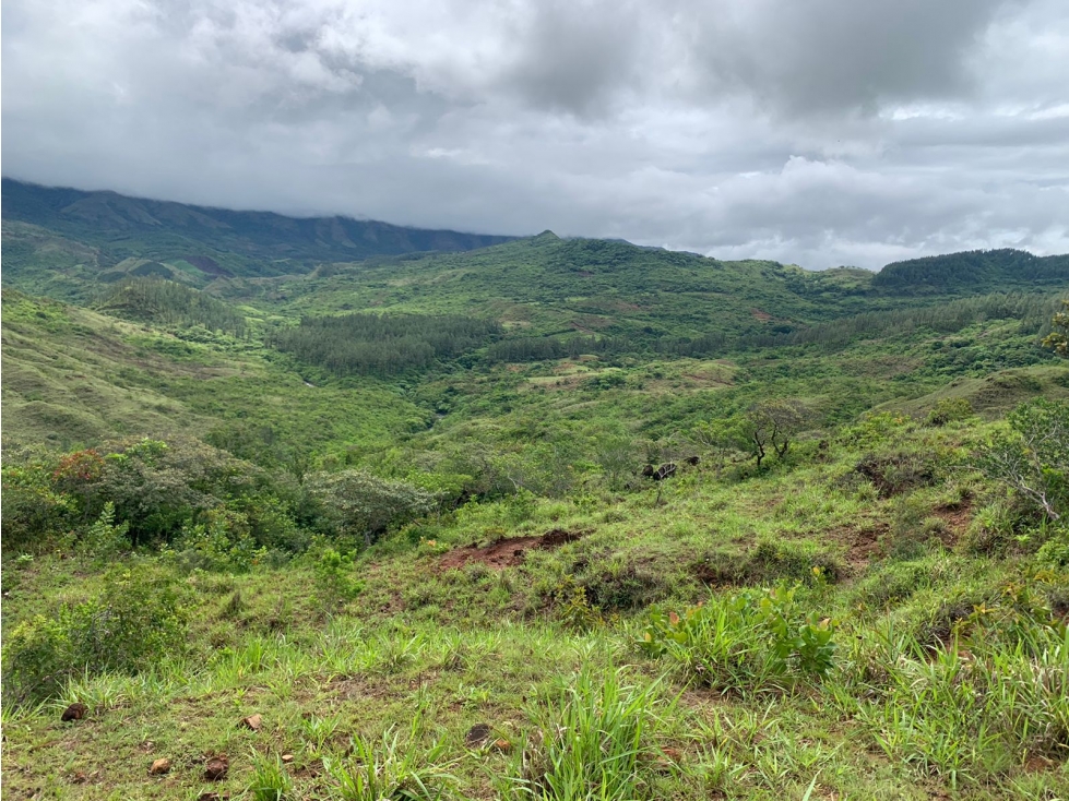 FINCA DE 39 HECTÁREAS CON RÍO EN SANTA FE, VERAGUAS, PANAMÁ - 1