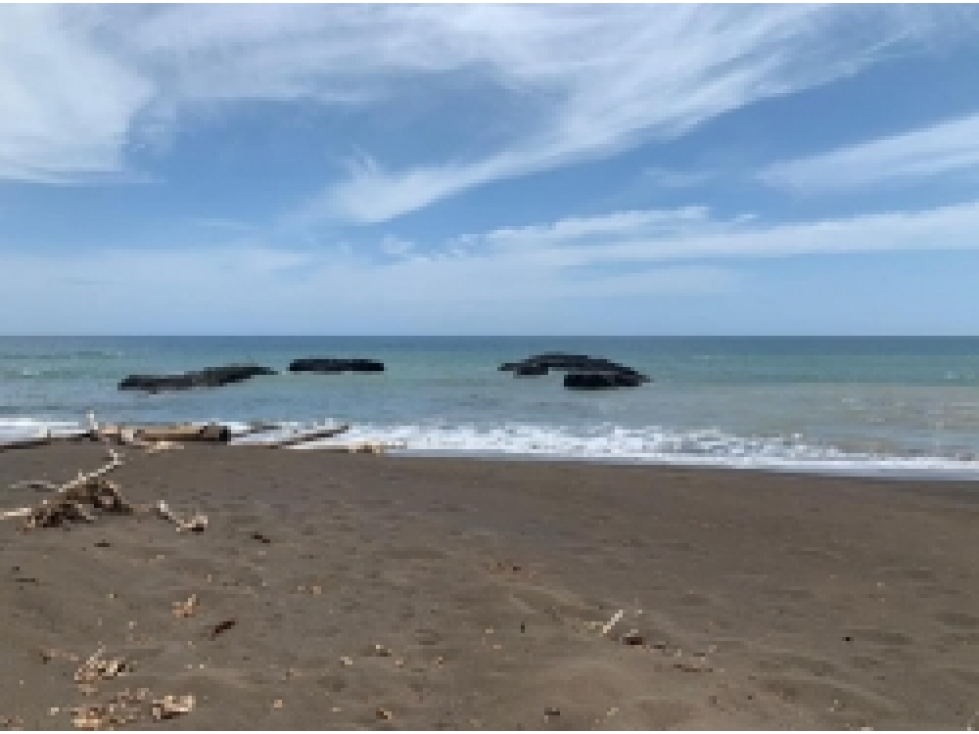 Se Vende 347 Hectareas Frente a Playa en Cerro Hoya, Panama - 2