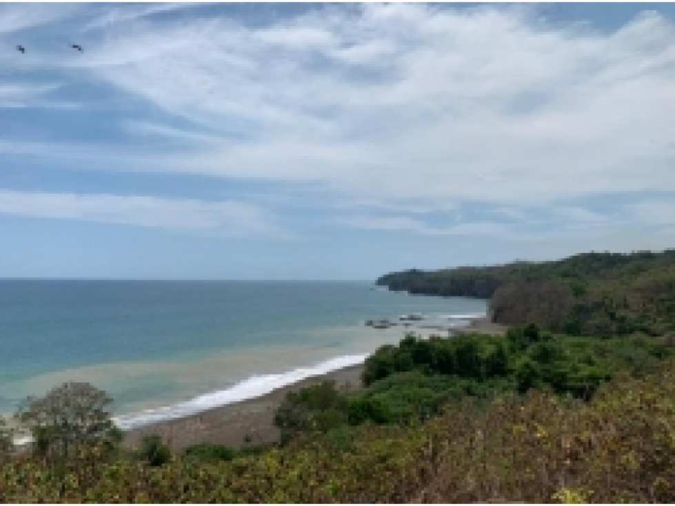 Se Vende 347 Hectareas Frente a Playa en Cerro Hoya, Panama - 1