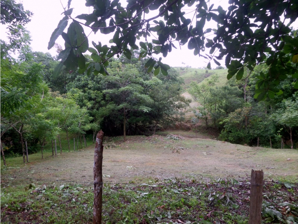 Hermosa Propiedad Cerca de Playa Malena Mariato, Veraguas - 2